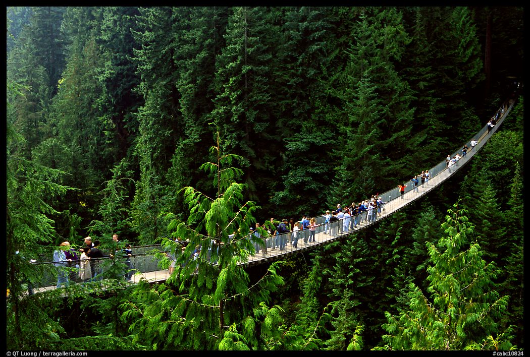 Capilano suspension bridge with tourists. Vancouver, British Columbia, Canada