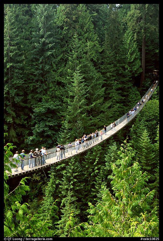 Capilano suspension bridge with tourists. Vancouver, British Columbia, Canada