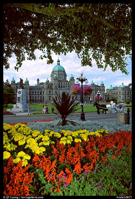 Legislature and horse carriage framed by leaves and flowers. Victoria, British Columbia, Canada