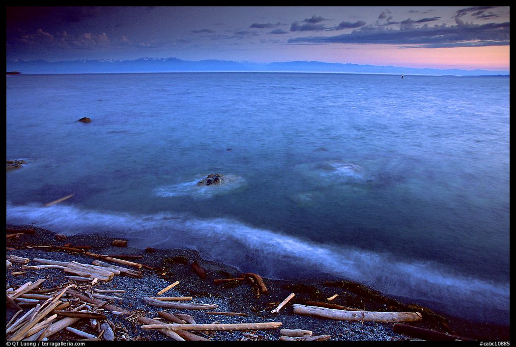 Beach with driftwood, and Olympic Mountains across the Juan de Fuca Strait. Victoria, British Columbia, Canada
