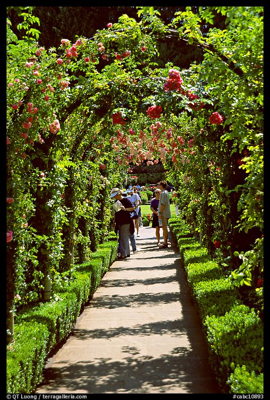 Arbour and path in Rose Garden. Butchart Gardens, Victoria, British Columbia, Canada