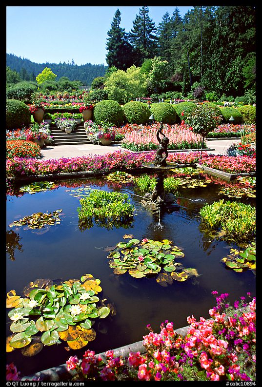 Pond in Italian Garden. Butchart Gardens, Victoria, British Columbia, Canada