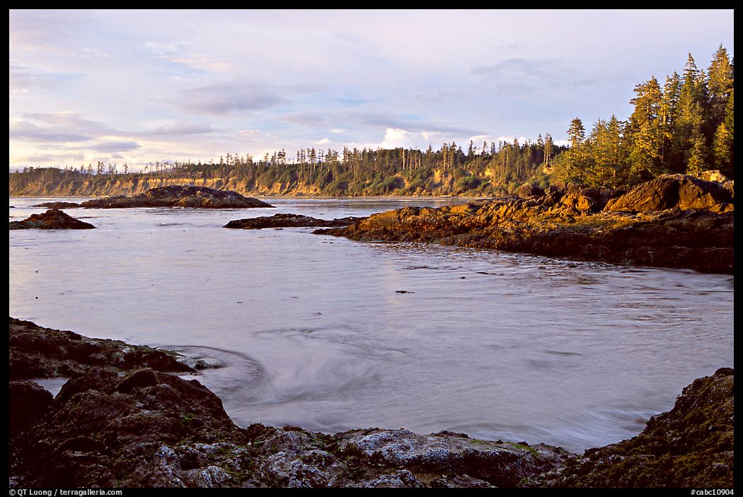 Half-moon bay, late afternoon. Pacific Rim National Park, Vancouver Island, British Columbia, Canada