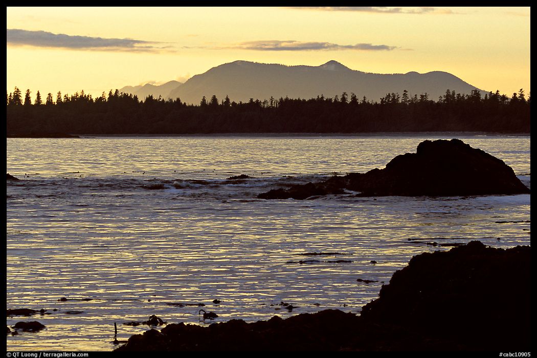 Rocks, tree line, and mountains from Half-moon bay, late afternoon. Pacific Rim National Park, Vancouver Island, British Columbia, Canada