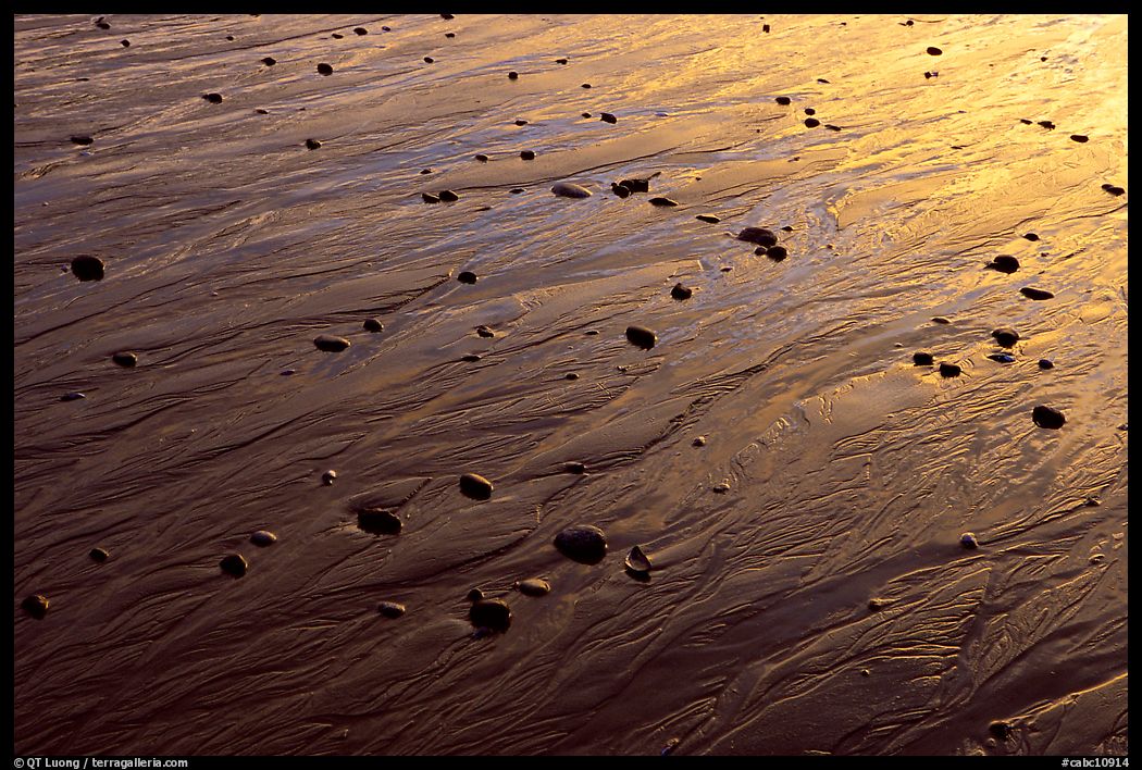 Reflections in wet sand at sunset, Half-moon bay. Pacific Rim National Park, Vancouver Island, British Columbia, Canada