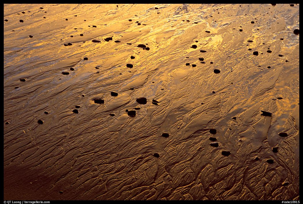 Pebbles and wet sand at sunset, Half-moon bay. Pacific Rim National Park, Vancouver Island, British Columbia, Canada