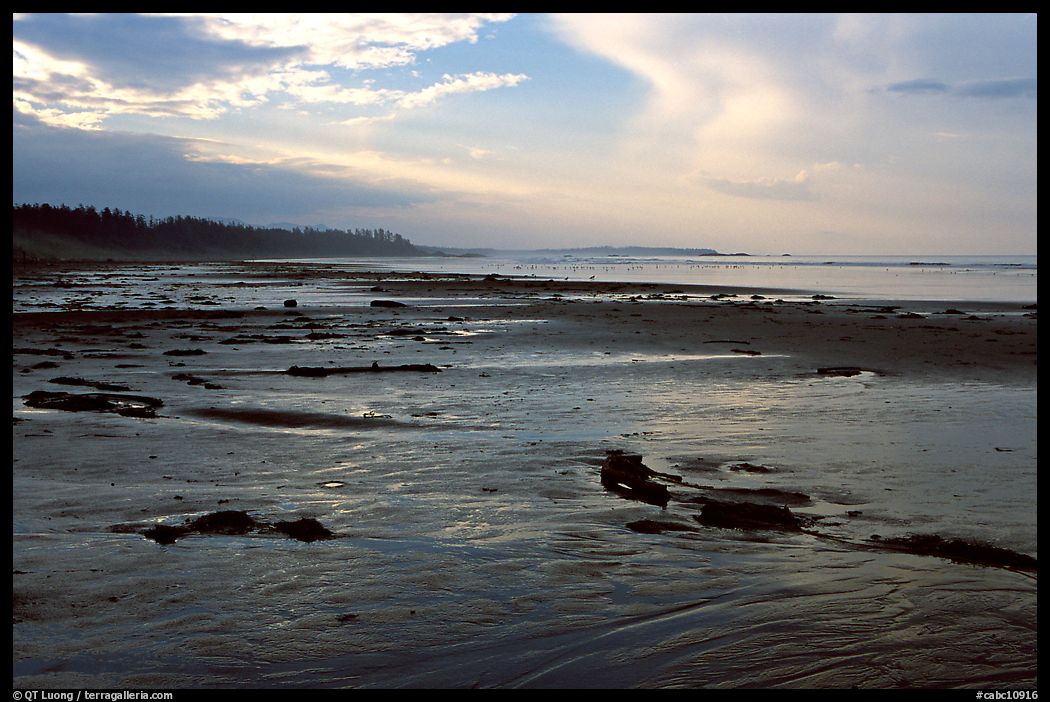Long Beach, early morning. Pacific Rim National Park, Vancouver Island, British Columbia, Canada