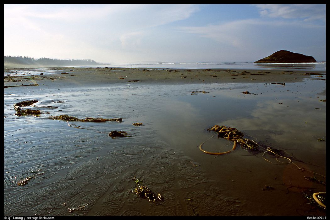 Wet sand on Long Beach, early morning. Pacific Rim National Park, Vancouver Island, British Columbia, Canada