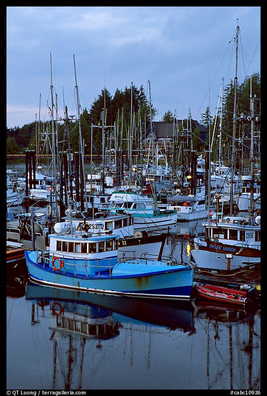 Commercial fishing fleet at dawn, Uclulet. Vancouver Island, British Columbia, Canada