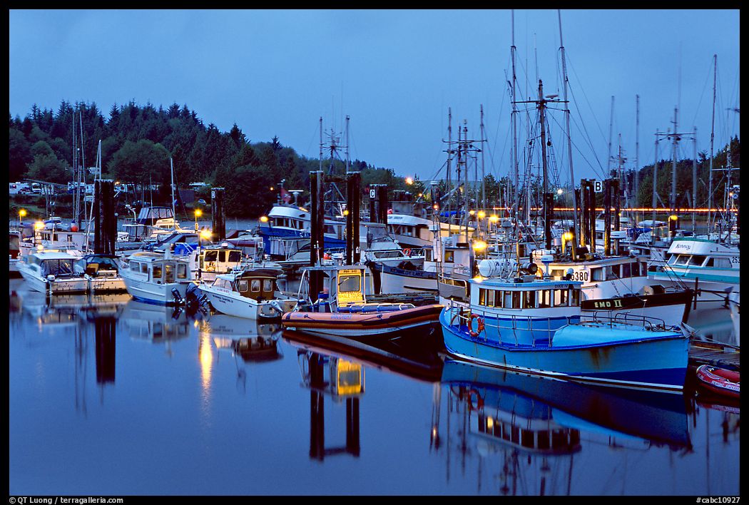 Commercial fishing fleet at dawn, Uclulet. Vancouver Island, British Columbia, Canada