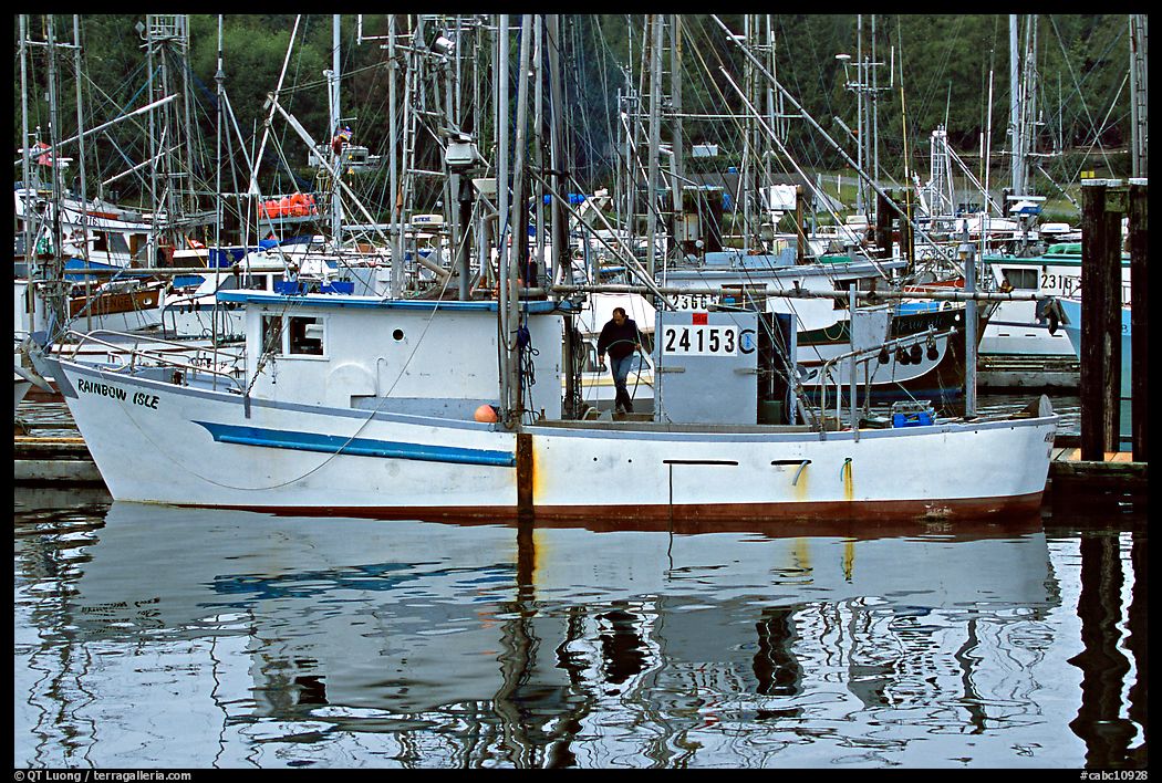 Fishing boat and reflections in harbor, Uclulet. Vancouver Island, British Columbia, Canada