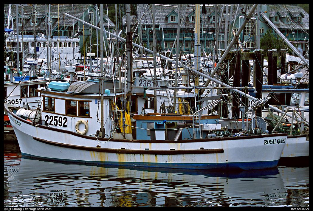 Fishing boat in harbour, Uclulet. Vancouver Island, British Columbia, Canada
