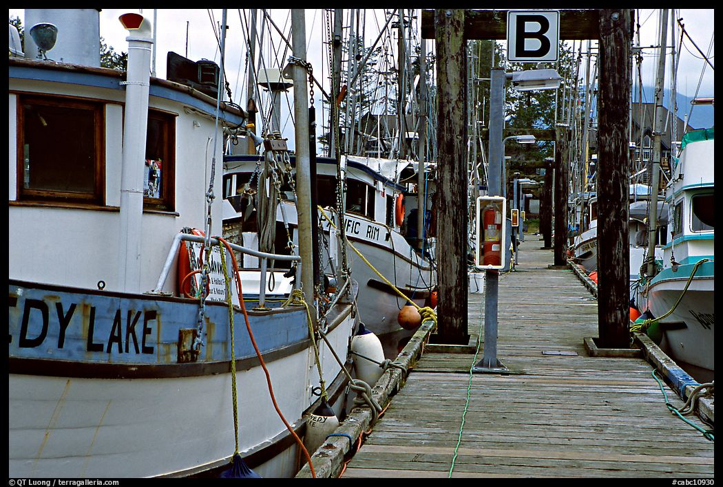 Fishing boats docked, Uclulet. Vancouver Island, British Columbia, Canada