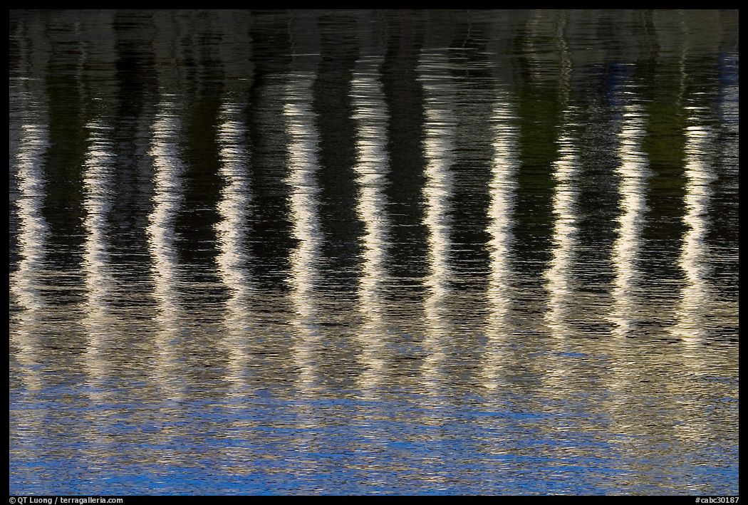 Column reflections. Victoria, British Columbia, Canada