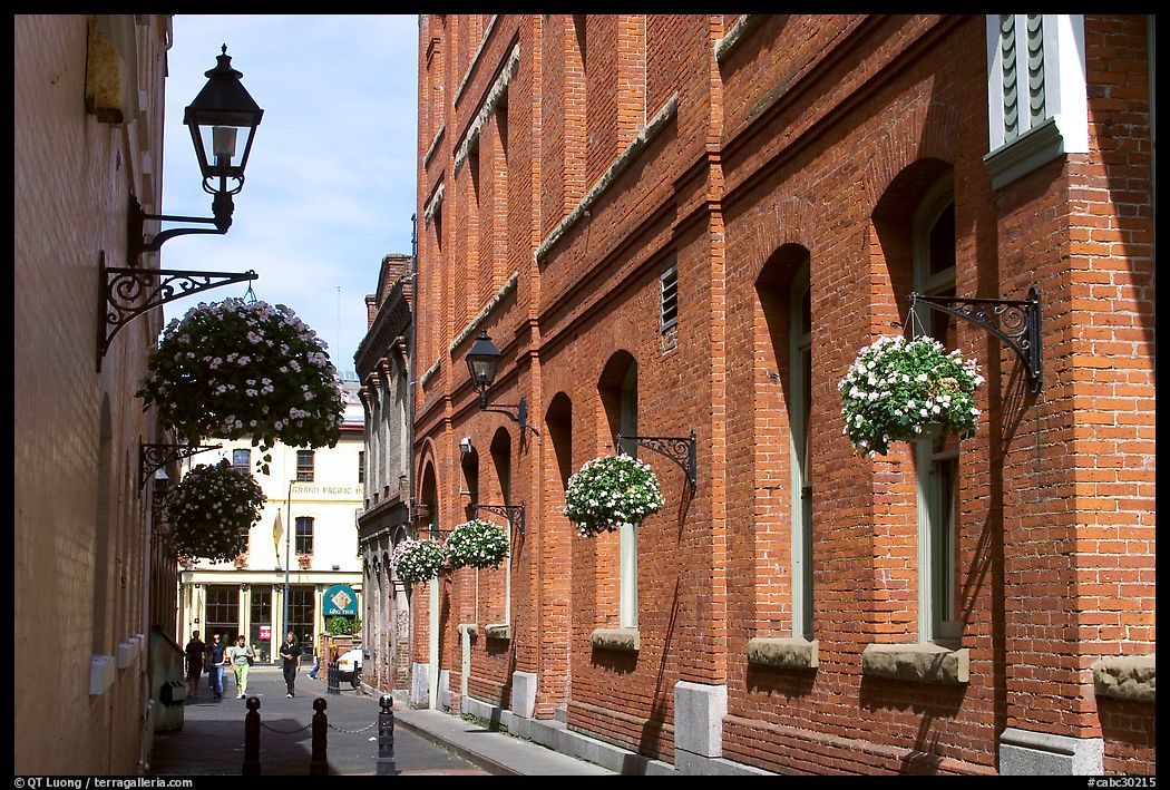 Narrow street. Victoria, British Columbia, Canada