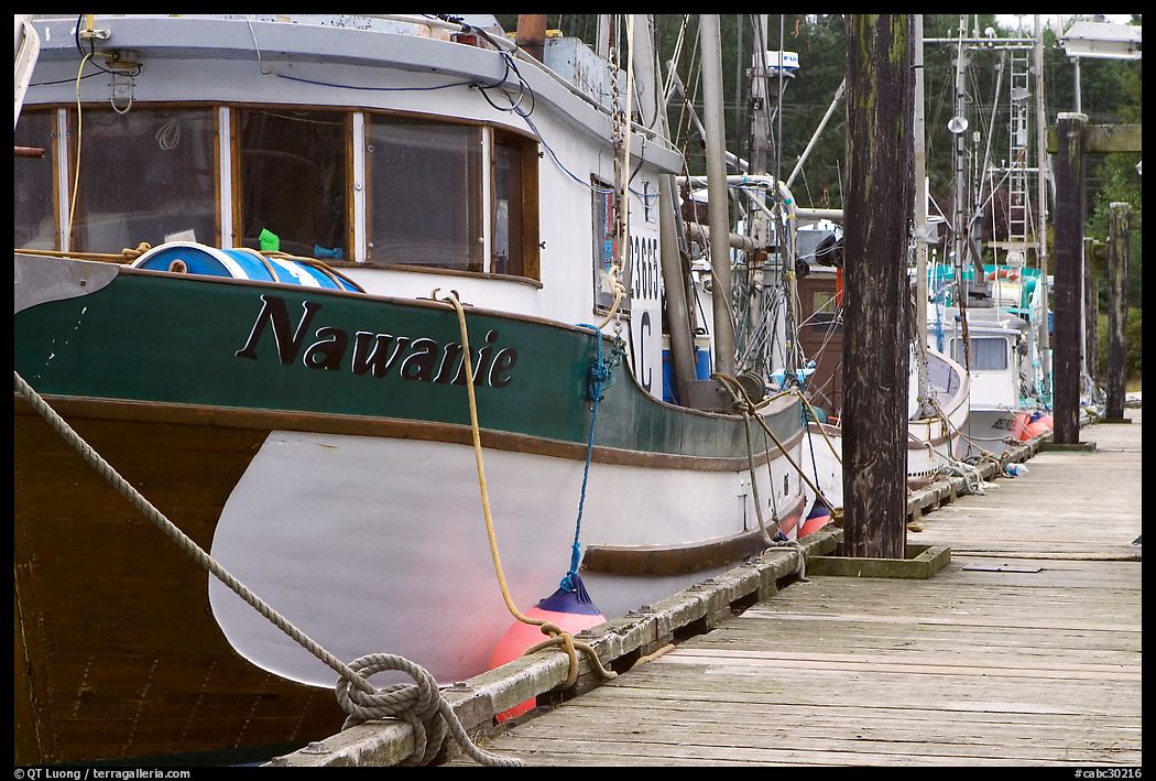Commercial fishing boats, Uclulet. Vancouver Island, British Columbia, Canada