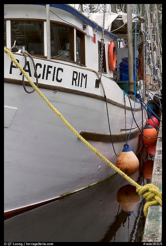 Commercial fishing boat, Uclulet. Vancouver Island, British Columbia, Canada