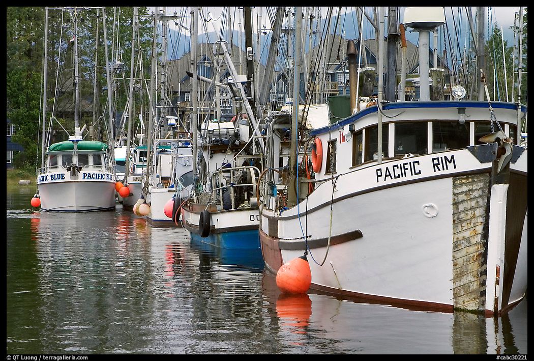 Fishing fleet, Uclulet. Vancouver Island, British Columbia, Canada