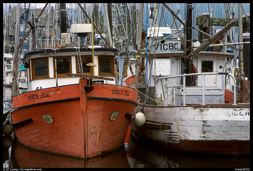 Fishing fleet, Uclulet. Vancouver Island, British Columbia, Canada