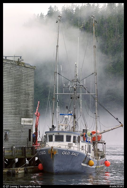 Commercial fishing boat and fog, Tofino. Vancouver Island, British Columbia, Canada