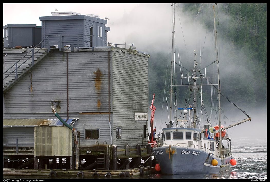 Commercial fishing boat next to a fishery, Tofino. Vancouver Island, British Columbia, Canada