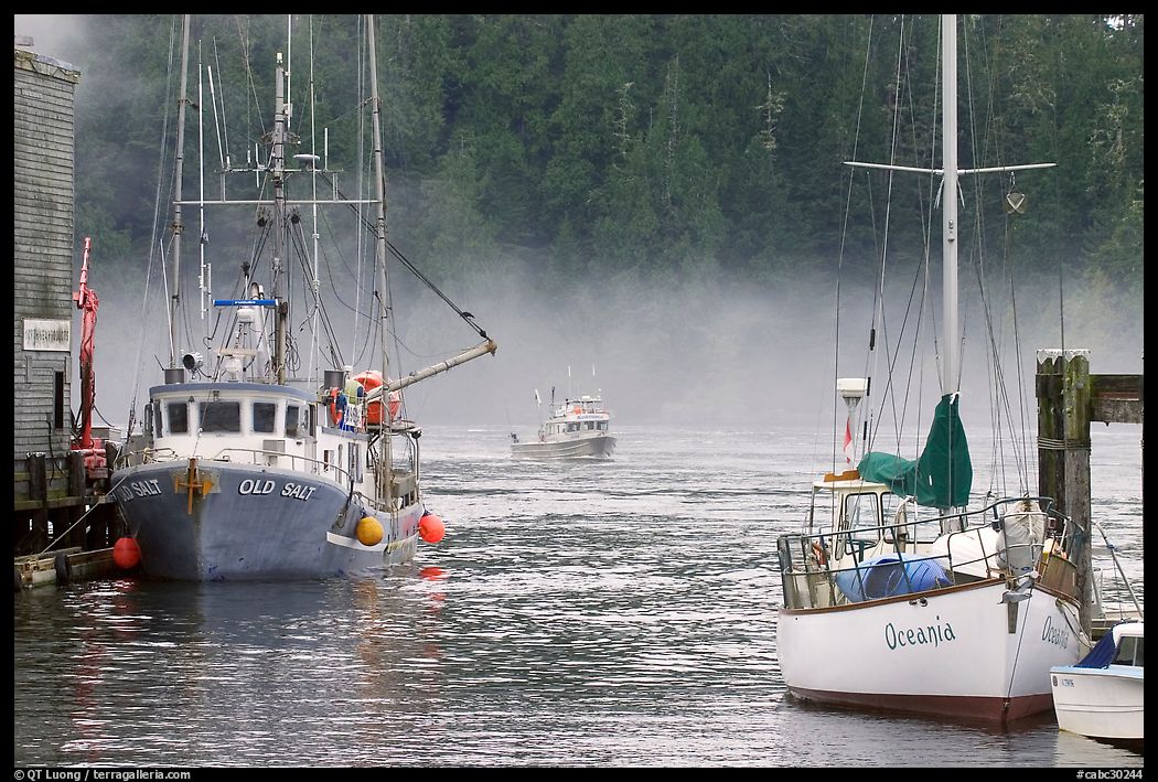 Yacht and fishing boat, Tofino. Vancouver Island, British Columbia, Canada