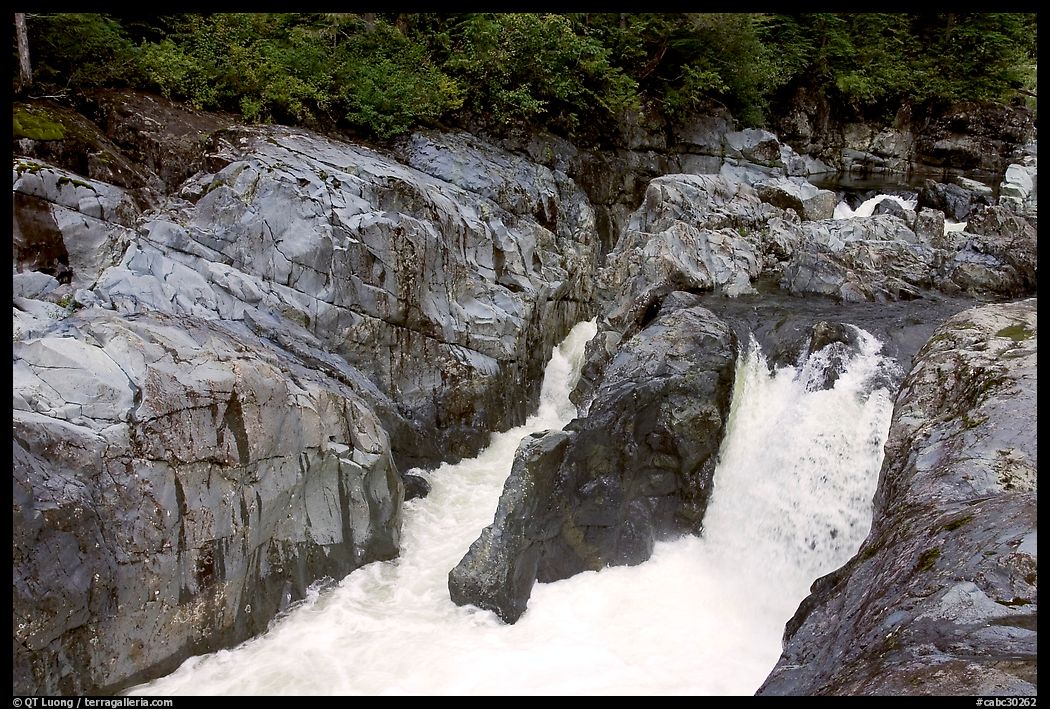 Falls. Vancouver Island, British Columbia, Canada