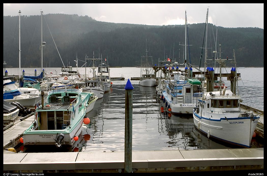 Fishing boats in harbour in Alberni Inlet, Port Alberni. Vancouver Island, British Columbia, Canada