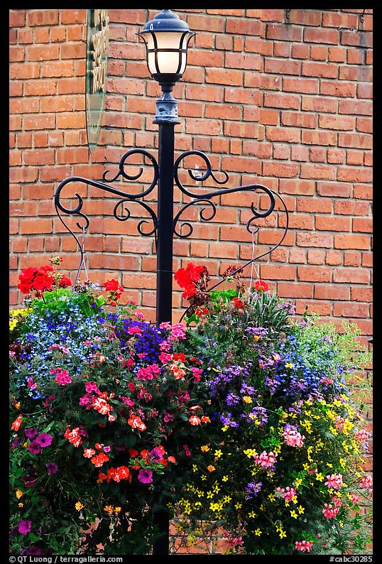 Flowers, street lamp, brick wall. Victoria, British Columbia, Canada