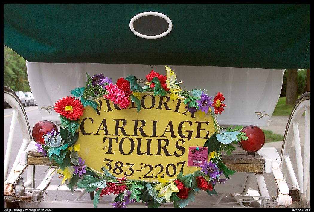 License plate of horse carriage car with flowers. Victoria, British Columbia, Canada