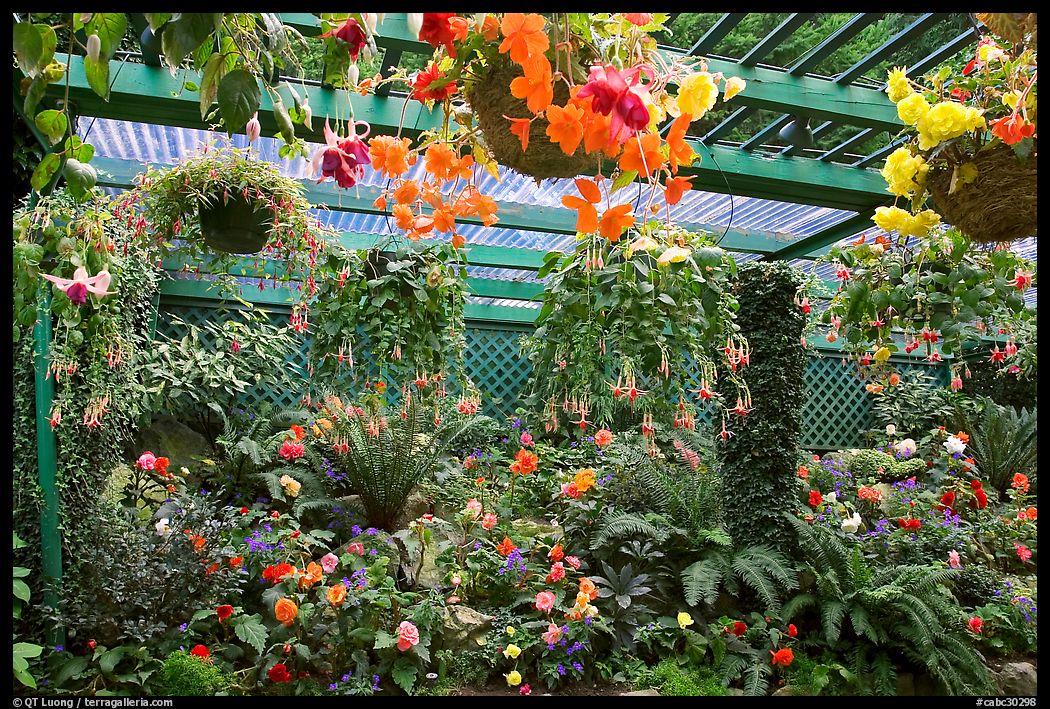 Bower overflowing with hanging baskets. Butchart Gardens, Victoria, British Columbia, Canada