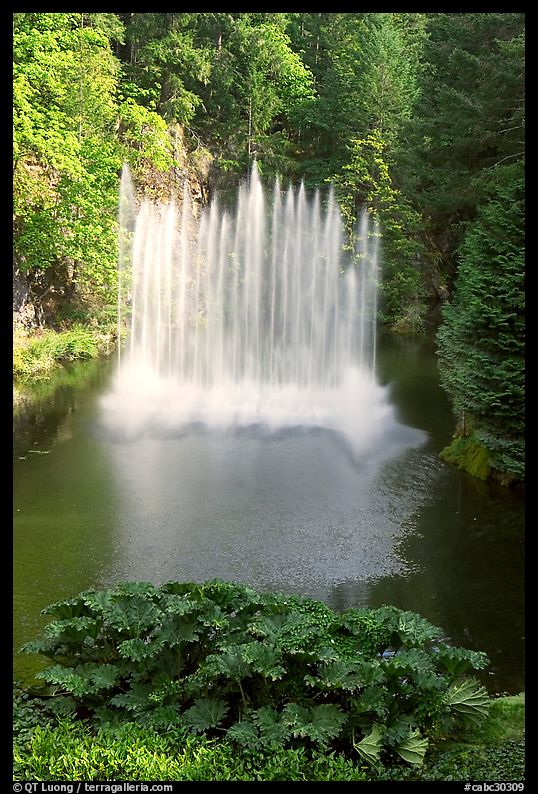 Ross Fountain. Butchart Gardens, Victoria, British Columbia, Canada