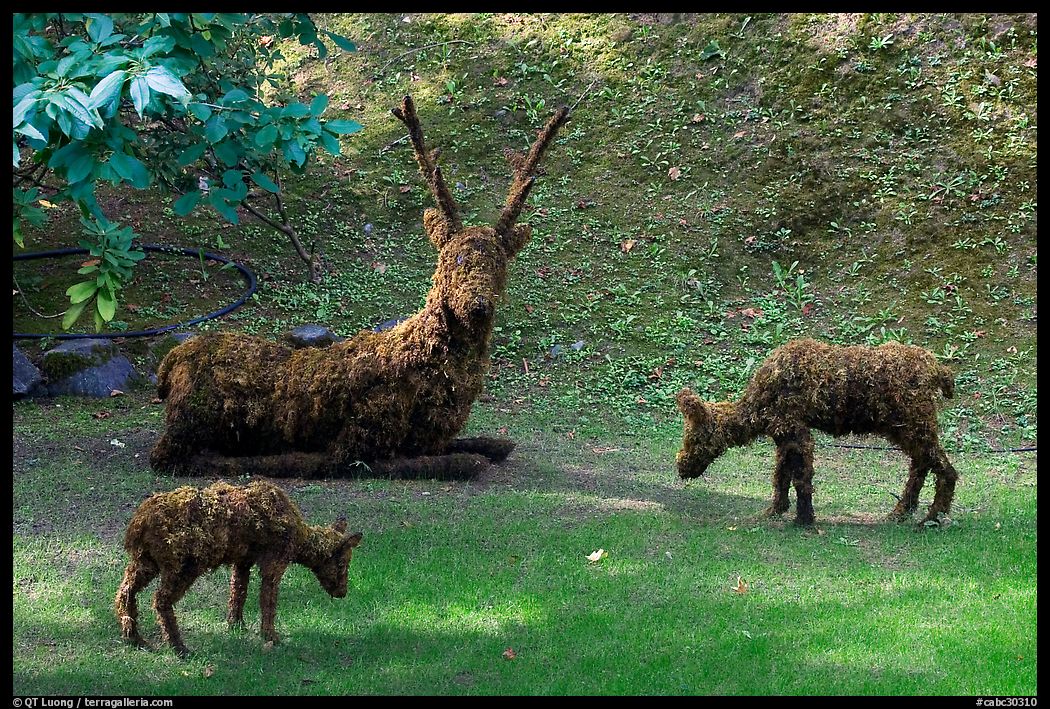 Vegetal sculpture. Butchart Gardens, Victoria, British Columbia, Canada