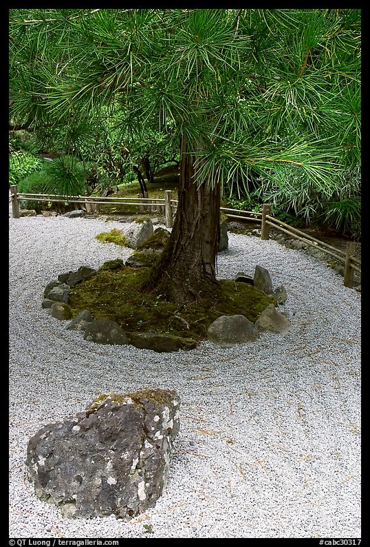 Gravel and tree, Japanese Garden. Butchart Gardens, Victoria, British Columbia, Canada