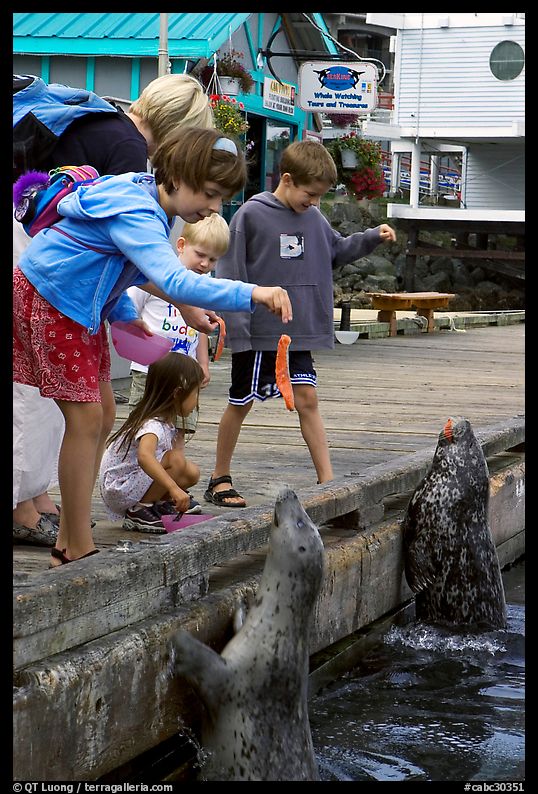 Kids feeding harbour seals, Fisherman's wharf. Victoria, British Columbia, Canada