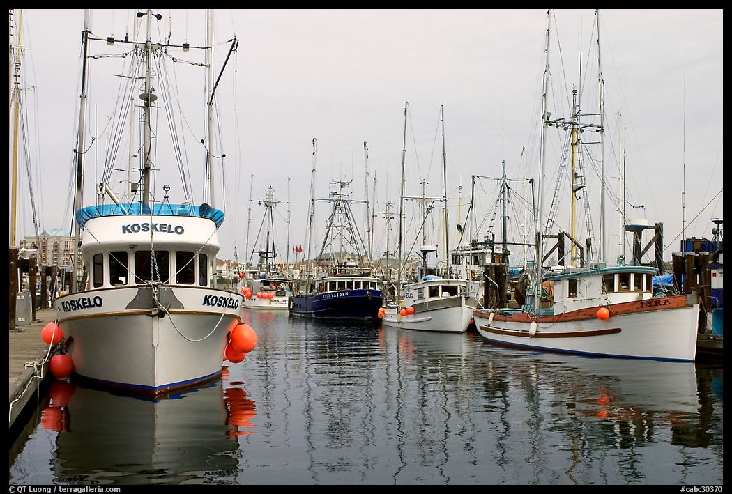 Commercial fishing boats, Upper Harbor. Victoria, British Columbia, Canada