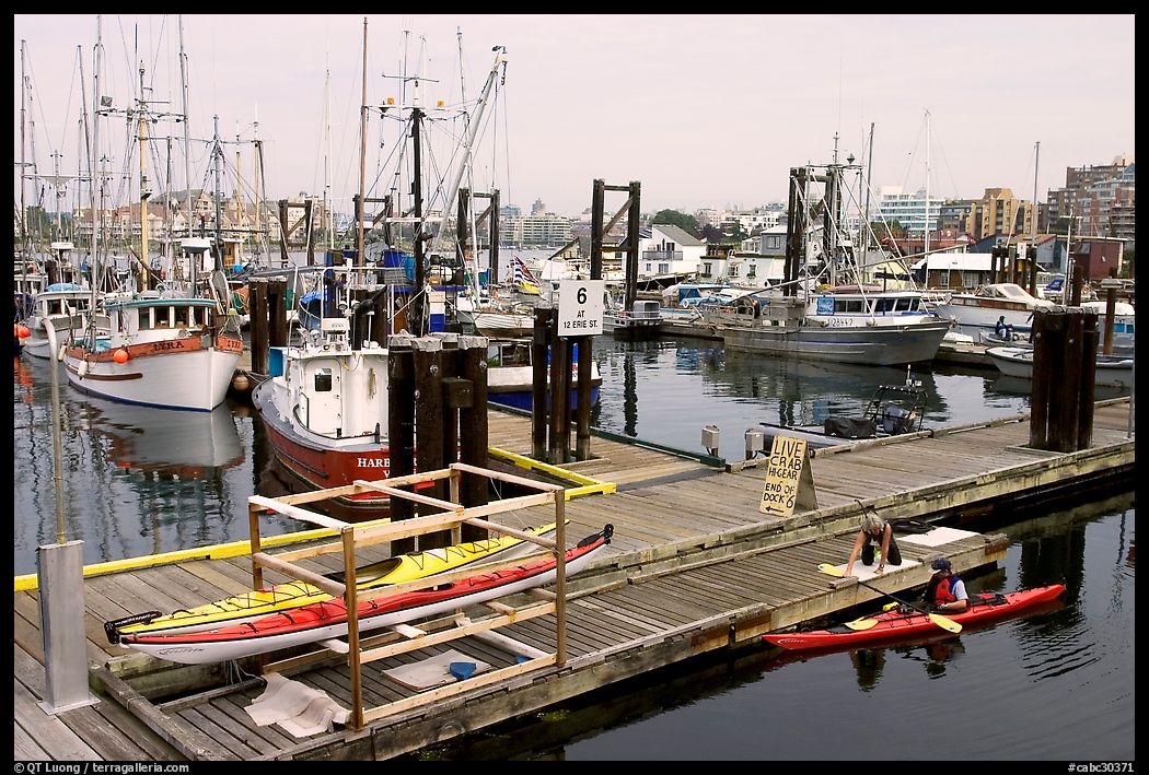 Kayaker ready to launch,  Upper Harbor. Victoria, British Columbia, Canada