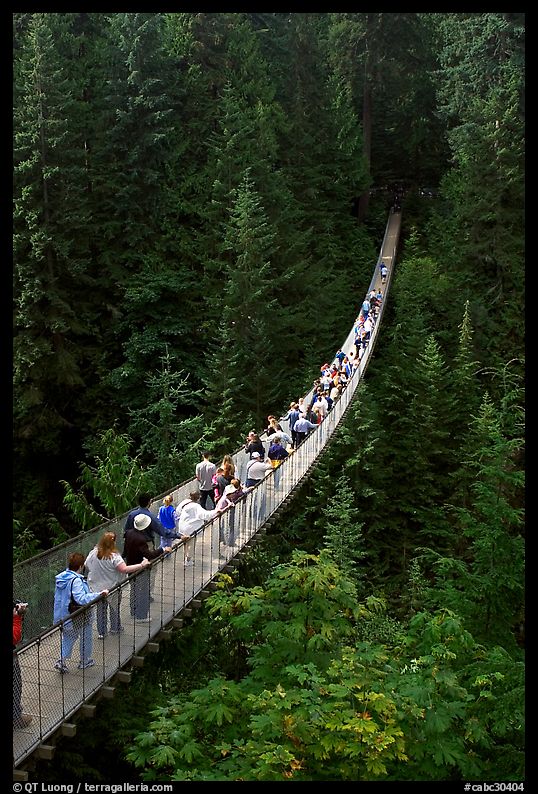 Capilano suspension bridge. Vancouver, British Columbia, Canada