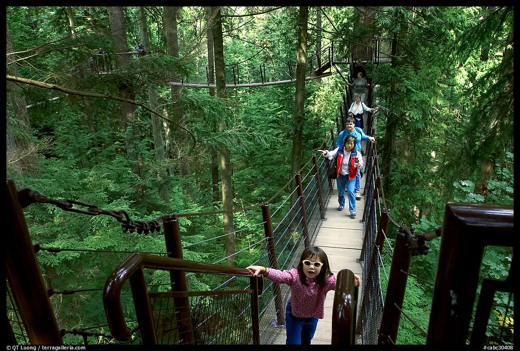 Kid on treetop trail. Vancouver, British Columbia, Canada