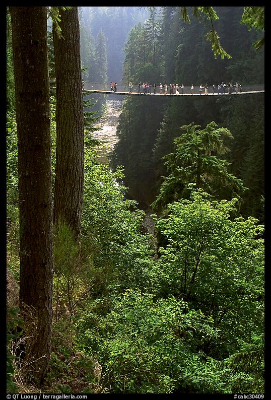 Capilano suspension bridge. Vancouver, British Columbia, Canada