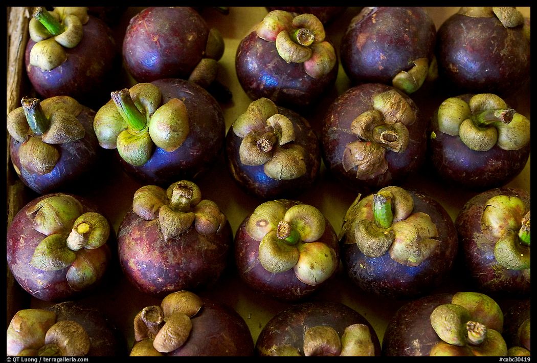 Mangoustines, Chinatown. Vancouver, British Columbia, Canada