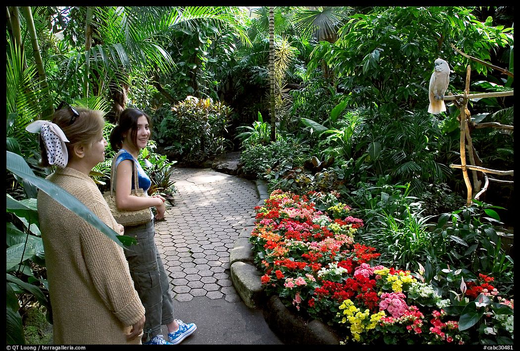 Women listening to the white parrot, Bloedel conservatory, Queen Elizabeth Park. Vancouver, British Columbia, Canada