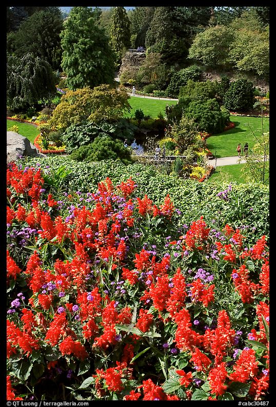 Flowers and sunken garden, Queen Elizabeth Park. Vancouver, British Columbia, Canada