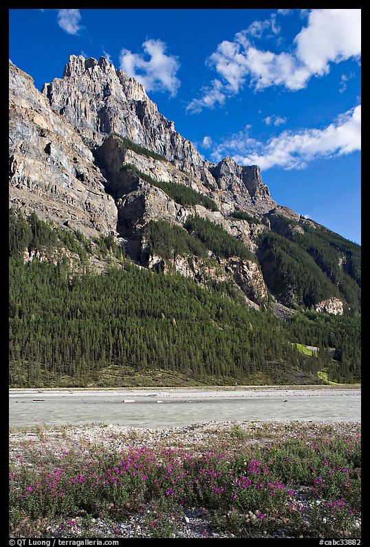 Mt Stephen and the Kicking Horse River, late afternoon. Yoho National Park, Canadian Rockies, British Columbia, Canada