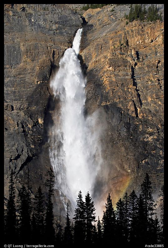 Takakaw Falls, trees and rainbow arc. Yoho National Park, Canadian Rockies, British Columbia, Canada