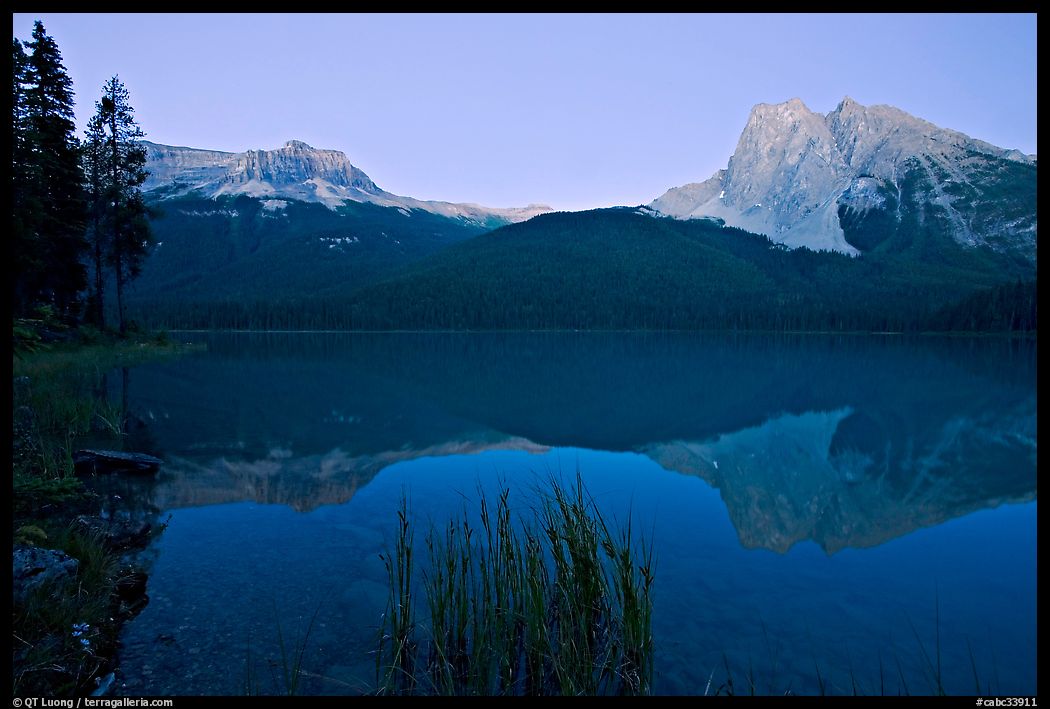 Mount Burgess and Wapta Mountain reflected in Emerald Lake, dusk. Yoho National Park, Canadian Rockies, British Columbia, Canada