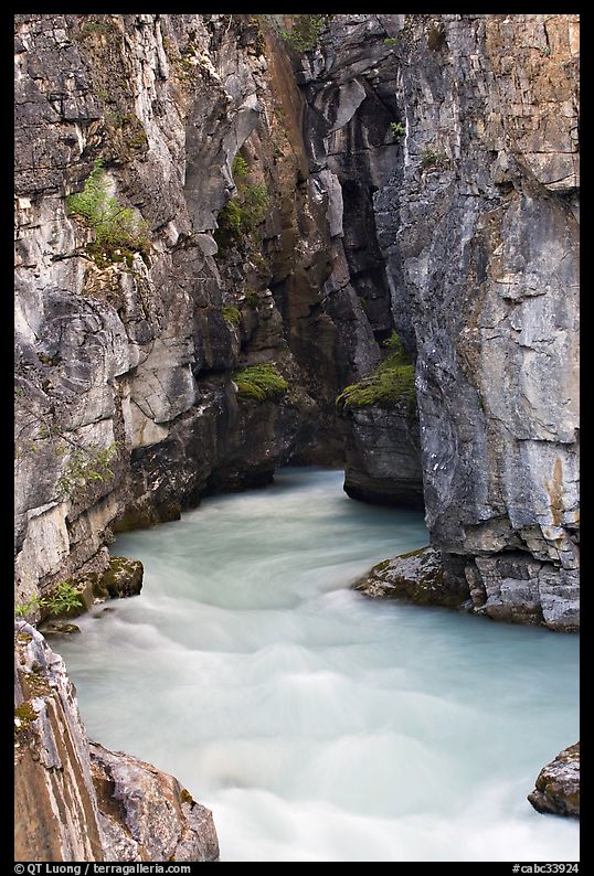 Tokkum Creek at the entrance of narrows of Marble Canyon. Kootenay National Park, Canadian Rockies, British Columbia, Canada