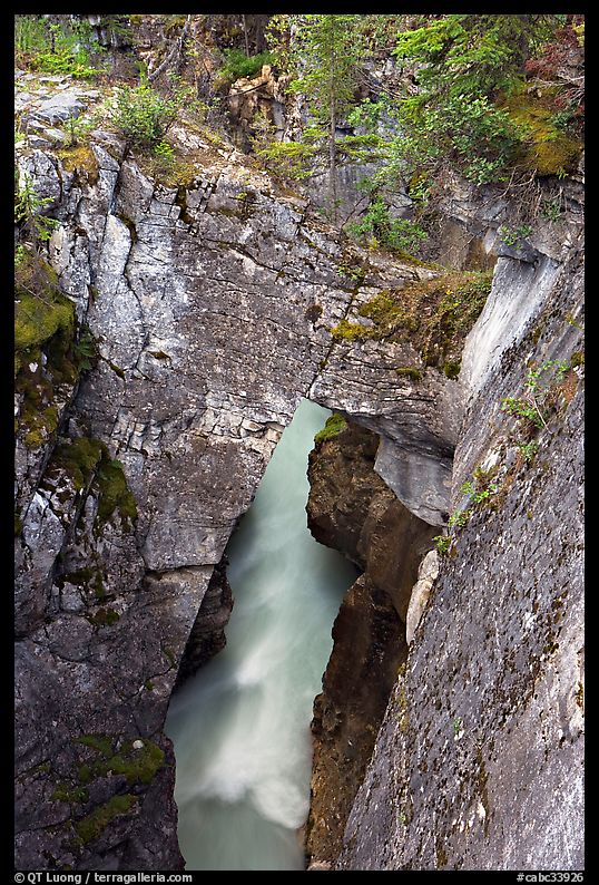 Natural bridge in Marble Canyon. Kootenay National Park, Canadian Rockies, British Columbia, Canada