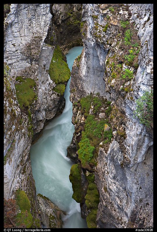 Limestone walls carved by Tokkum Creek, Marble Canyon. Kootenay National Park, Canadian Rockies, British Columbia, Canada