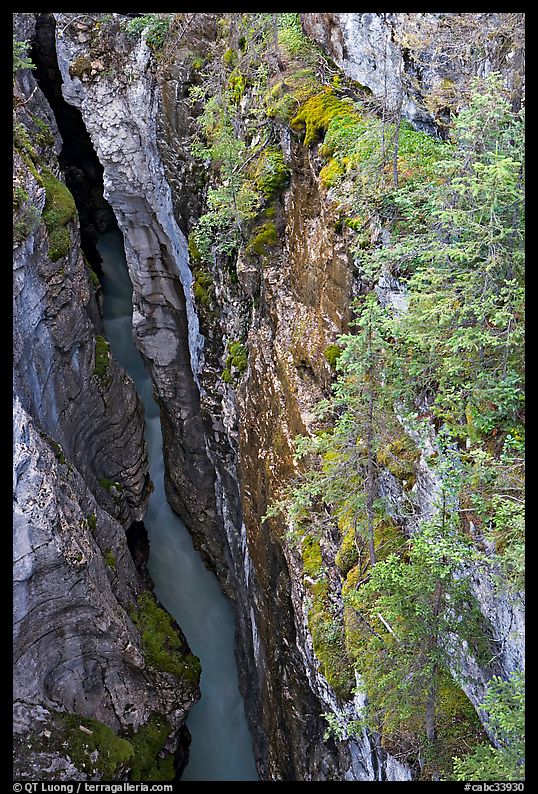 Marble Canyon 36 meter deep narrow gorge. Kootenay National Park, Canadian Rockies, British Columbia, Canada